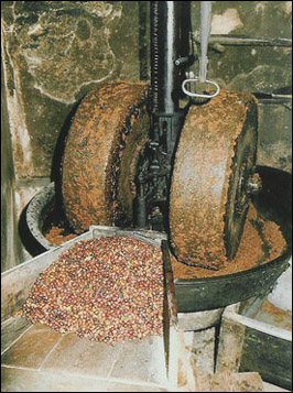 ecrasage01c.jpg