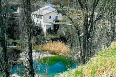 moulin.jpg